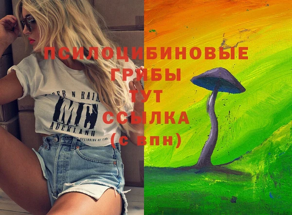 COCAINE Медвежьегорск