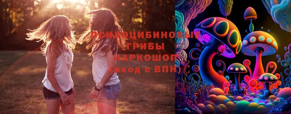 прущие грибы Михайловка