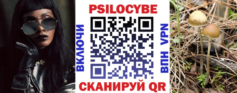 Псилоцибиновые грибы Psilocybe  Купить где  Мантурово 